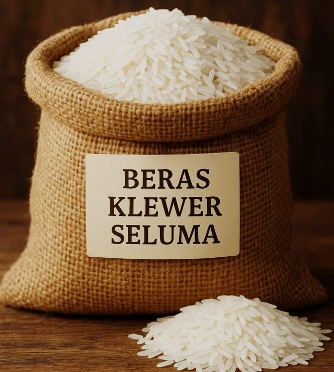 
					Beras Klewer Seluma Segera Didaftarkan dalam Indikasi Geografis