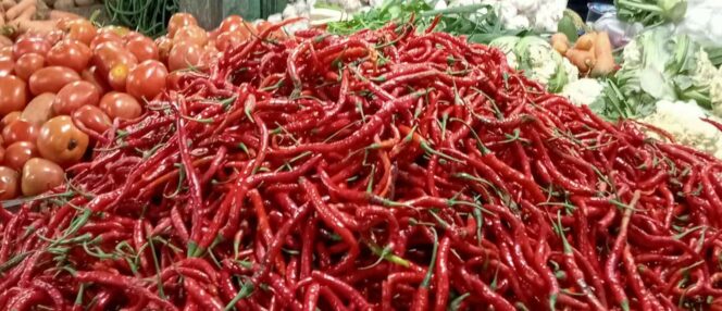 
					Pasokan Melimpah, Harga Cabai Merah di Kota Bengkulu Anjlok